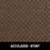 accolades_stunt_350x359